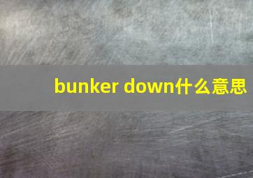 bunker down什么意思